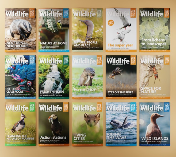 Scottish Wildlife Trust magazine selection